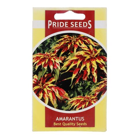Pride Seeds Amarantus