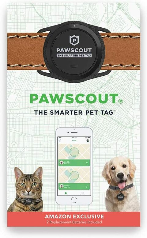 Buy Pawscout Smarter Pet Tag Online Shop Pet Supplies on