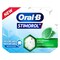 Stimorol Oral-B Chewing Gum Spearmint 17 Gram