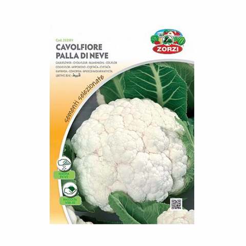 Zorzi Cauliflower Seed 2 Gram