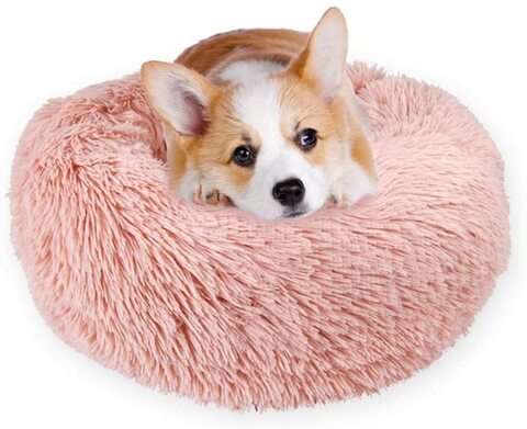 Dog store bed plush