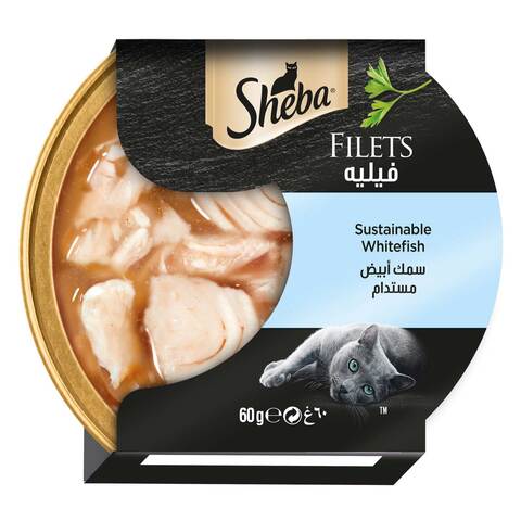 Sheba cat 2024 food diarrhea