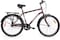 ITG Mogoo Horritage Single Speed Road Bike 26 Inch, Brown