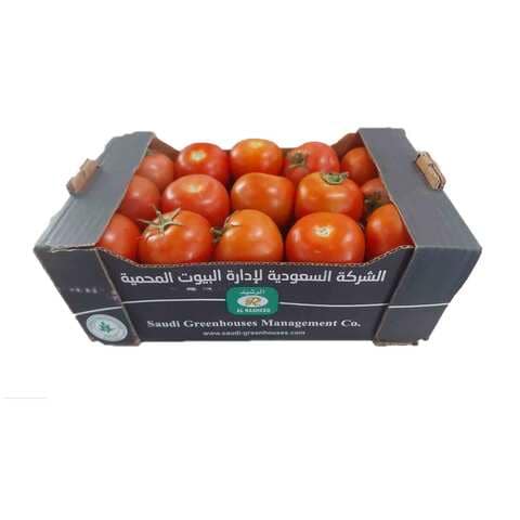 اشتري اس جي ام صندوق طماطم في السعودية
