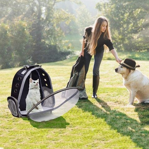 Mdinc Transparent Cat Dog Pet Bag Pet Travel Shoulder Backpack For Small Cats Dogs, Outdoor Hiking Travel Case Carrier For Pets