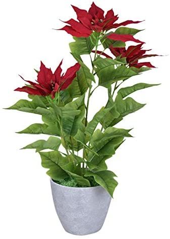 Buy Yatai Artificial Red Poinsettia Flowers Potted Artificial Plants In Ceramic Vase For Home Garden Office D Eacute Cor Online Shop Home Garden On Carrefour Uae