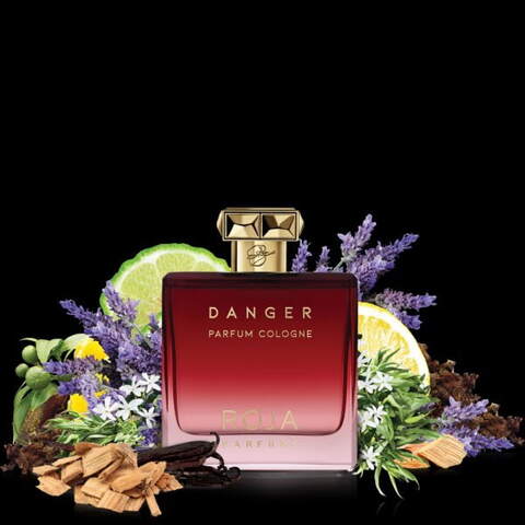 Buy Roja Parfums Danger Pour Homme Parfum Cologne - Online Shop Beauty & Personal Care Carrefour UAE