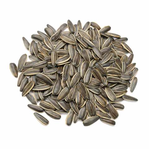 Buy Sunflower Seeds Salted (Perkg) in Saudi Arabia