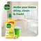 Dettol Antibacterial Power Multi Purpose Lemon Floor Cleaner 900ml x Pack of 1 + 1 Free