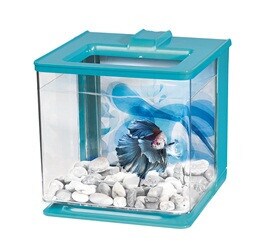 Online fish 2025 tank supplies