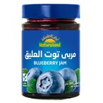 Buy NATURELAND BLUEBERRY JAM 200G in Kuwait
