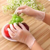 Generic-300PCS-L-Disposable PVC Gloves Single Use Transparent AMMEX Gloves Powder Free Latex Free for Food Service, Parts Handling, Cleanup and Beauty Salon