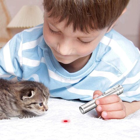 Online laser outlet pointer for cats