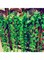 12-Piece Artificial Hanging Ivy Leaves Green