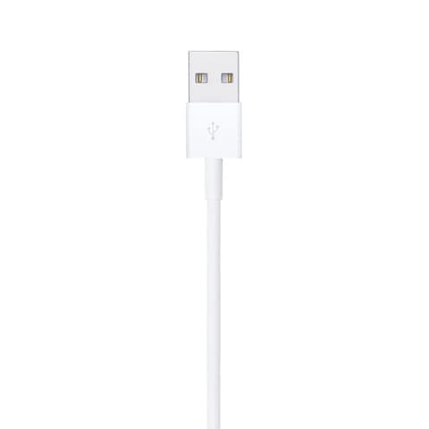 Apple Lightning To USB Cable 0.5m