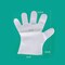 carevas-100pcs Disposable Gloves PE Gloves for Food Test Beauty Salon Dentistry Cleaning Protective Gloves