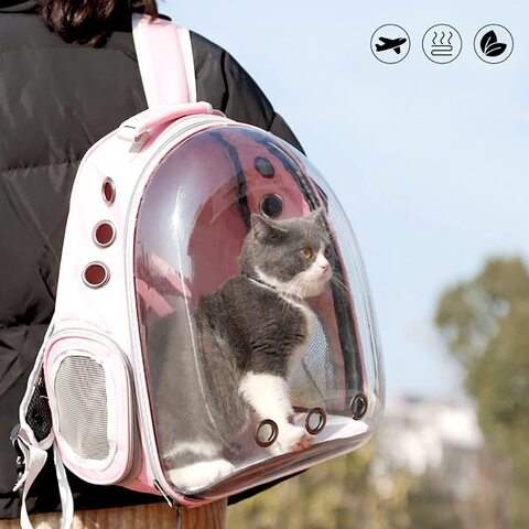 Capsule backpack outlet for cats