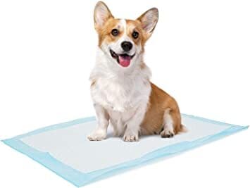 Pads puppy on sale