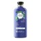 Herbal Essences Bio:Renew Purify Ginger Conditioner Blue 400ml