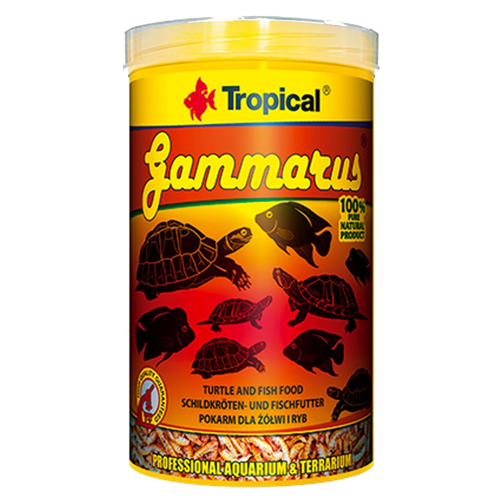 Aquarium tropical best sale fish food