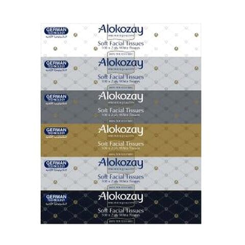 Alokozay Soft Facial Tissue 100 Sheets Pack of 6