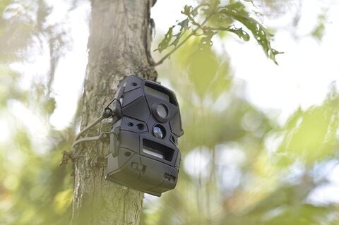 Wildgame Innovations Cloak Lightsout Trail Camera 24 Megapixel Camera - Black