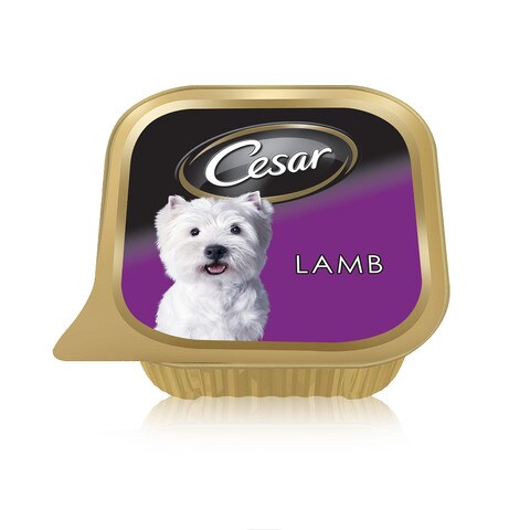 Cesar puppy hot sale wet food