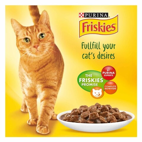 Friskies purina clearance chat