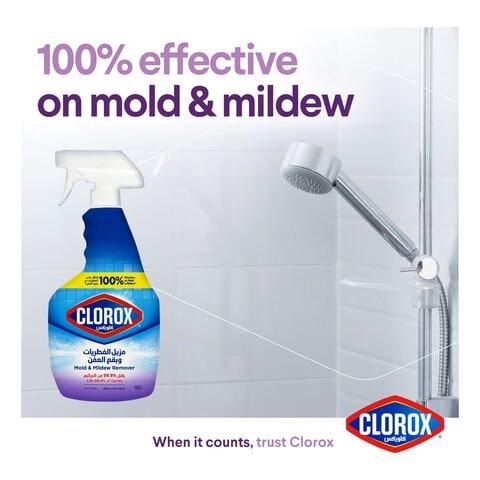 Clorox Mold &amp; Mildew Spray Cleaner 750ml