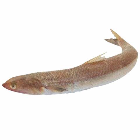 Macarona Fish Middle East