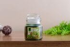 اشتري Pan Emirates Tea  Bamboo Scented Candle Green في الامارات