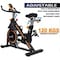 Skyland Fitness Exercise Bike/Spin Bike For Home Cardio And Strength Training Workouts With Height Adjustable, Exercise Bike EM-1560-O Orange