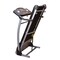 Skyland -  Home Motorized Treadmill  Em1222, Ideal For Cardio Activities And Helps You To Stay Fit Indoors.
