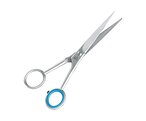 Buy Premax F82650500S Professional Hairdressing Scissors, Stainless Steel, 125 mm-5 Inch in UAE