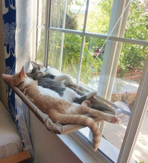 Doreen Window Mounted Cat Bed Cat Hammock Pet Save Space