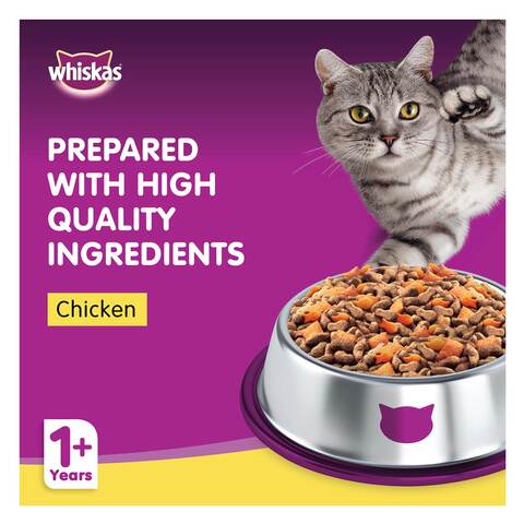 ويسكاس طعام جاف للقطط دجاج 480 جرام