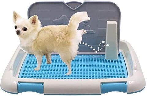 Indoor pet potty outlet for large dogs