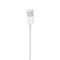 Apple-Original Apple Lightning to USB Cable 1 Meter Charging Sync for iPhone 7 7 Plus 8 8 Plus X iPad iPod