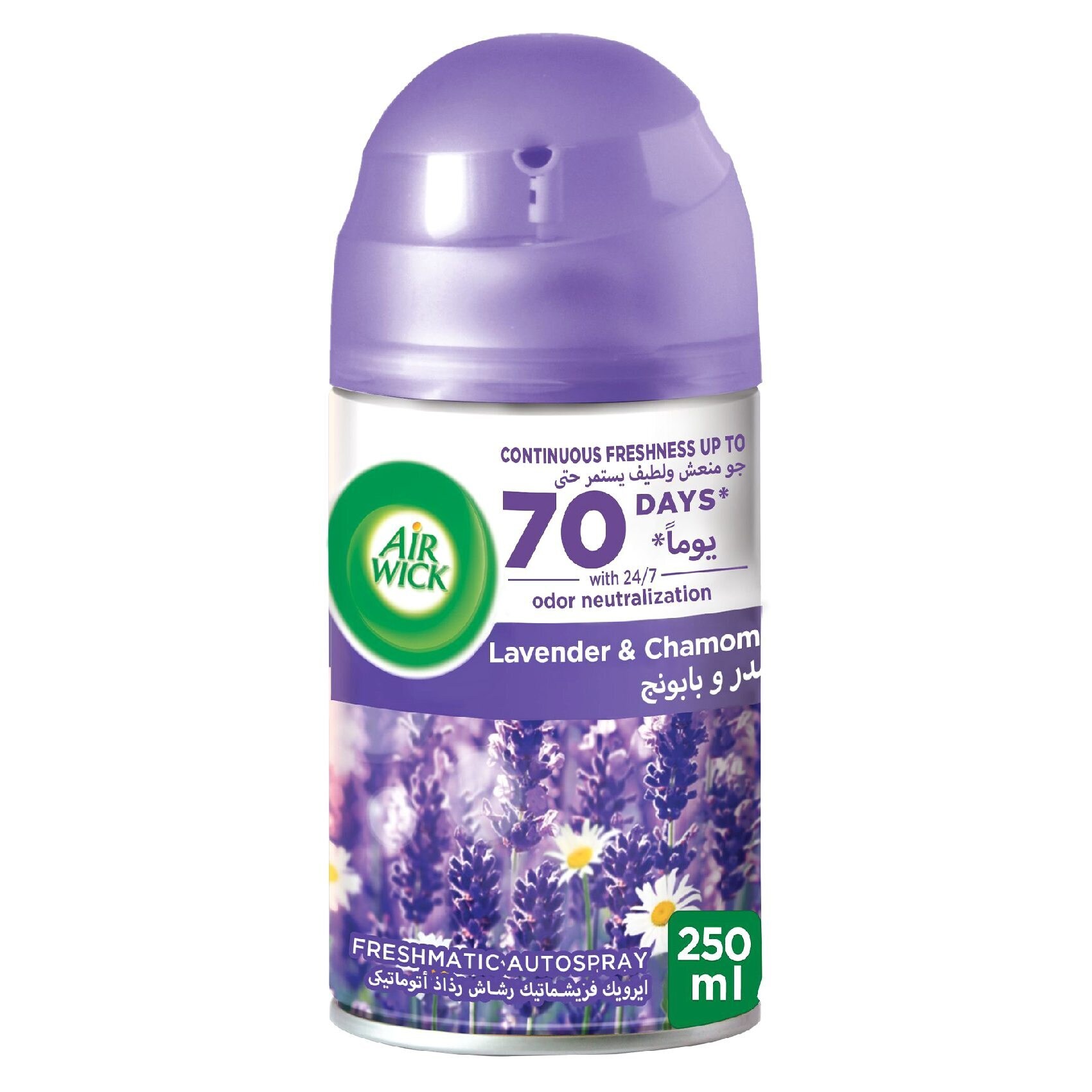 Buy Air Wick Freshmatic Max Lavendar Automatic Spray With Refill Purple  250ml Online - Shop Cleaning & Household on Carrefour UAE