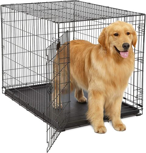 Buy dog 2024 crate online