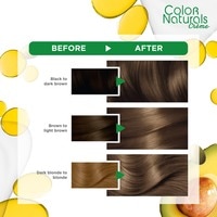 Garnier Colour Naturals Creme Nourishing Permanent Hair Colour 6.1 Dark Ash Blonde 110ml