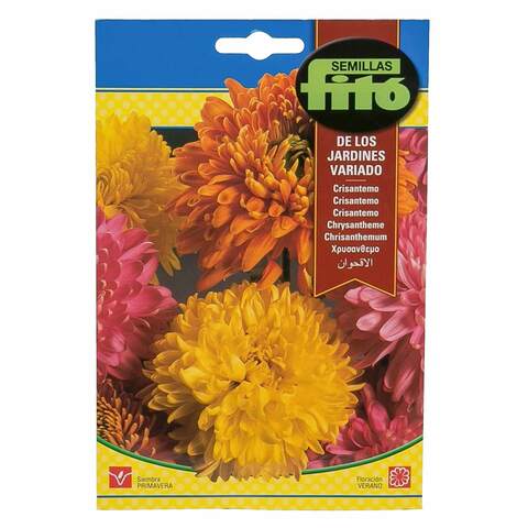 Fito Seeds Chrysanthemum Flower