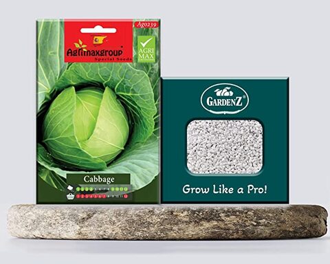 بذور الكرنب AG0239 إنتاجية عالية + صندوق بيرلايت زراعي (5 لتر) من GARDENZ