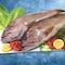 سمك هامور ابيض طازج 1.5 - 2.5 كج