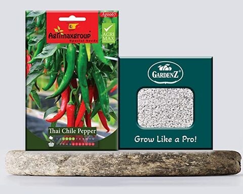 Thai Chile Pepper Seeds AG0067 High productivity + Agricultural Perlite Box (5 LTR.) by GARDENZ