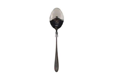 TABLE SPOON