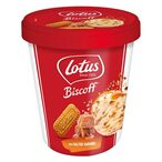 Buy Lotus Biscoff Salted Caramel Ice Cream 460ml in Kuwait