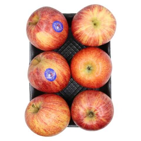 6 Pack Royal Gala Apples