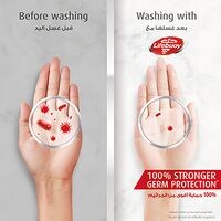 Lifebuoy Anti-Bacterial Liquid Hand Wash Moisturizing for sensitive skin Mild Care 500ml