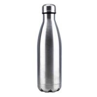 Stainless 2024 vacuum bottle